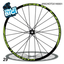 DT Swiss Spline X1900 29 vinilos
