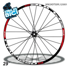 DT Swiss Spline XCR1250 29" vinilos