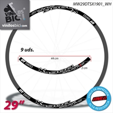 DT Swiss Spline X1900 29" Pegatinas vinilo adhesivo