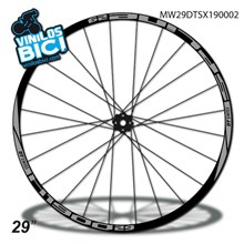 DT Swiss Spline X1900 29 vinilos