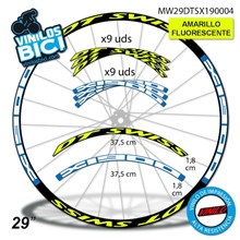 DT Swiss Spline X1900 29" vinilos