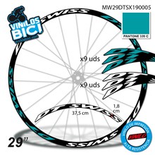 DT Swiss 29" vinilos
