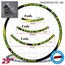 DT Swiss Spline H1900 29" vinilos