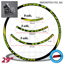 DT Swiss Spline X1900 29" vinilos