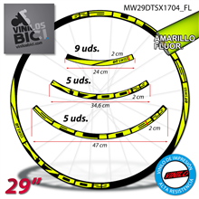DT Swiss Spline X1700 29" vinilos