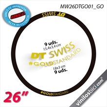 DT Swiss Vinilos