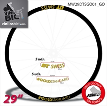 DT Swiss Vinilos
