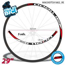 DT Swiss X1800 29" Vinilos