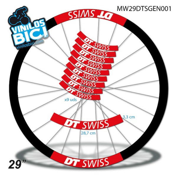 DT Swiss 29" vinilos