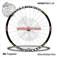 DT Swiss XCR 1.7 26 Adhesivos