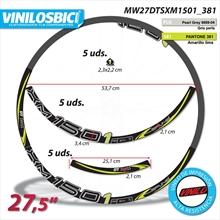 DT Swiss XM1501 Pegatinas pegatinas en vinilo adhesivo llantas 27,5