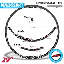 DT Swiss XR1501 Pegatinas pegatinas en vinilo adhesivo llantas 29