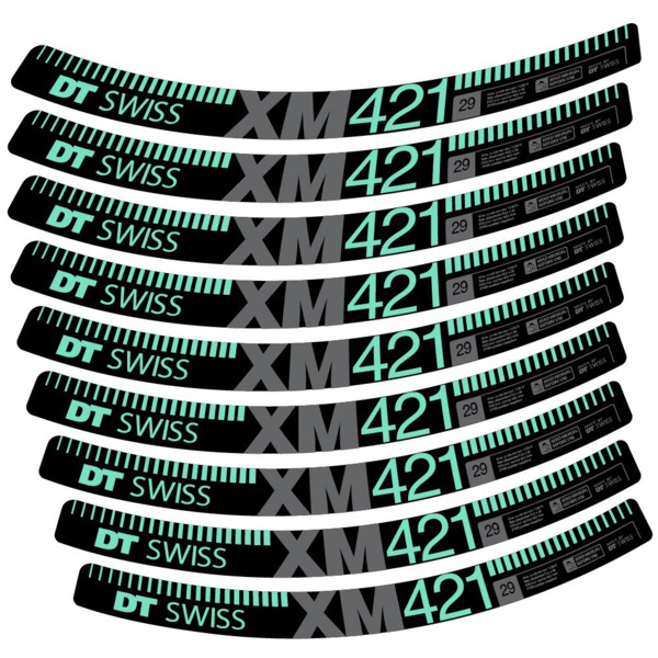 DT Swiss XM421 Pegatinas en vinilo adhesivo Llanta MTB (9)