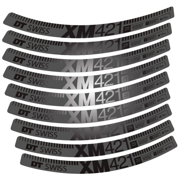 DT Swiss XM421 Pegatinas en vinilo adhesivo Llanta MTB (12)