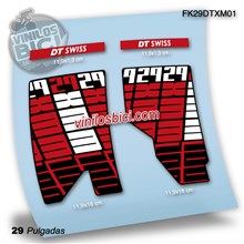 DT Swiss XMM29 Adhesivos