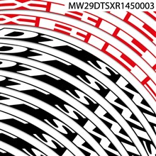 DT Swiss XR1450 29" Vinilos