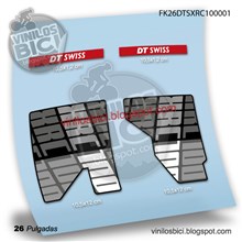 DT Swiss XRC100 26 Adhesivos