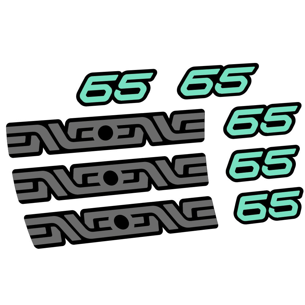 Enve 65 Pegatinas en vinilo adhesivo Llanta MTB (9)
