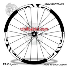 Enve XC 29 Adhesivos