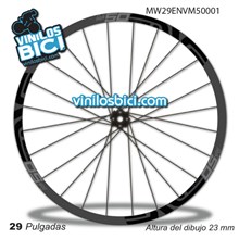 Enve M50 29 Adhesivos