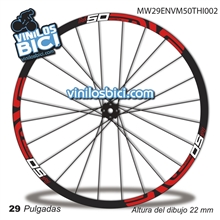 Enve M50 29 Adhesivos