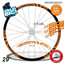 Enve M50 29" Vinilos