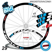 DT Swiss Oval 29" Vinilos