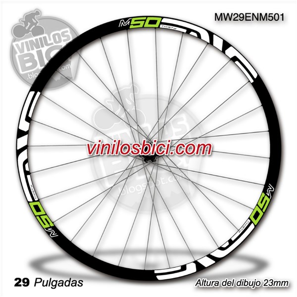 Enve M50 Adhesivos