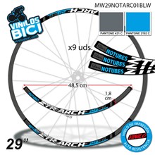 Notubes ZTR Archex 29" vinilos
