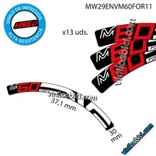 Enve M60 29" vinilos llantas