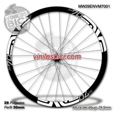 Enve M70 29 Adhesivos