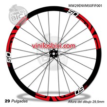 Enve M50 29 Adhesivos