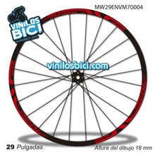 Enve M70 29 Adhesivos