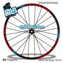 Enve M70 29 Adhesivos