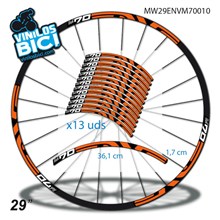 Enve M70 29" Vinilos