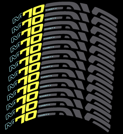 Pegatinas para Llanta MTB Enve M70  en vinilo adhesivo stickers graphics calcas adesivi autocollants