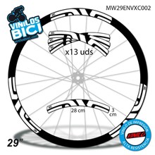 Enve XC 29 Adhesivos
