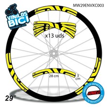 Enve XC 29 Adhesivos