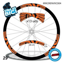 Enve XC 29 Adhesivos