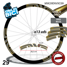 Enve XC 29" vinilos