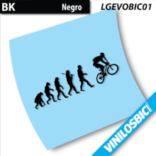 Evolución vinilos adhesivos bici