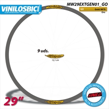 Extralite pegatinas vinilo adhesivo llantas 29