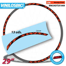 DT Swiss pegatinas en vinilo adhesivo llantas