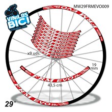 FRM Evo 29" vinilos