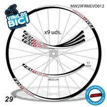 FRM Evo 29" vinilos