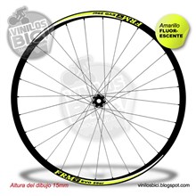 FRM Evo 29" vinilos