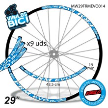 FRM Evo 29" vinilos