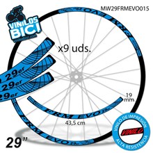FRM Evo 29" vinilos