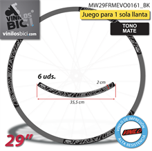 FRM Evo 29" vinilos