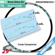 FRM Evo 29" vinilos